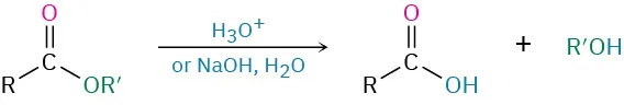 An ester is hydrolyzed to a carboxylic acid and alcohol using either acid or base.