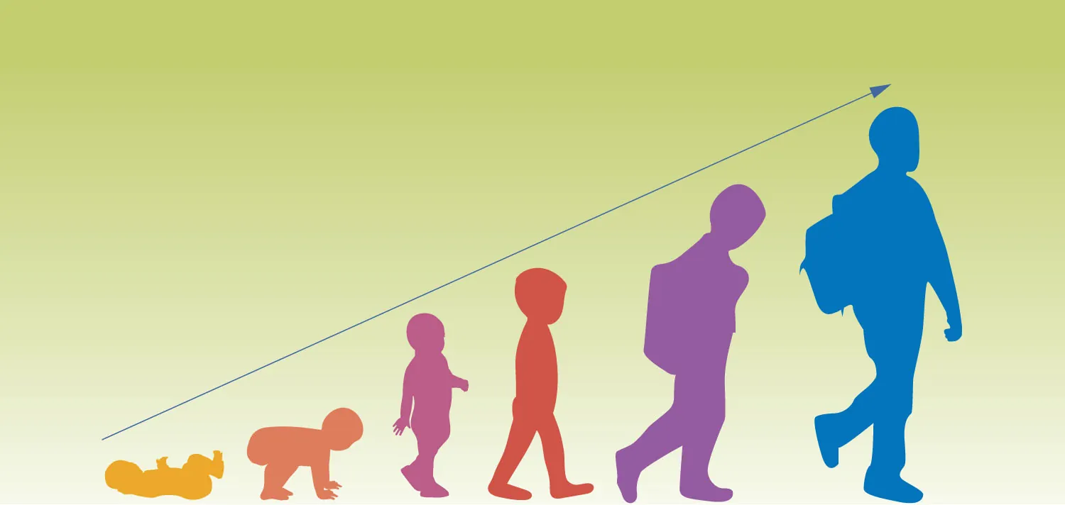 An illustration shows human growth and development from infancy to adolescence.