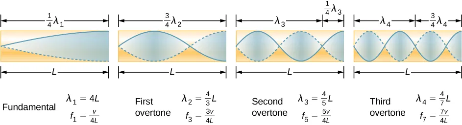 Picture is a diagram of the fundamental and three lowest overtones for a tube closed at one end. Fundamental has one-fourth of its wavelength in a tube. First overtone has three-fourth of its wavelength in a tube, second overtone has five-fourth of its wavelength in a tube, third overtone has seven-fourth of its wavelength in a tube. All have maximum air displacements at the open end and none at the closed end.