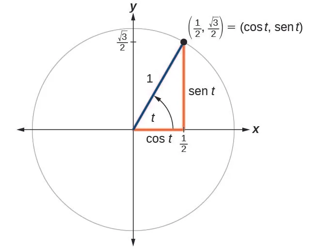 Gráfico de un círculo con ángulo t, radio de 1 y un lado terminal que interseca el círculo en el punto (1/2, raíz cuadrada de 3 sobre 2).