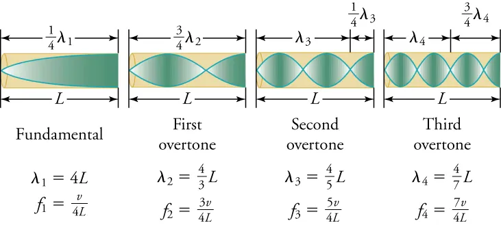 The fundamental has a wavelength of 4L, and a frequency of v/4L. The first overtone has a wavelength of 4L/3 and a frequency of 3v/4L. The second overtone has a wavelength of 4L/5 and a frequency of 5v/4L. The third overtone has a wavelength of 4L/7 and a frequency of 7v/4L.
