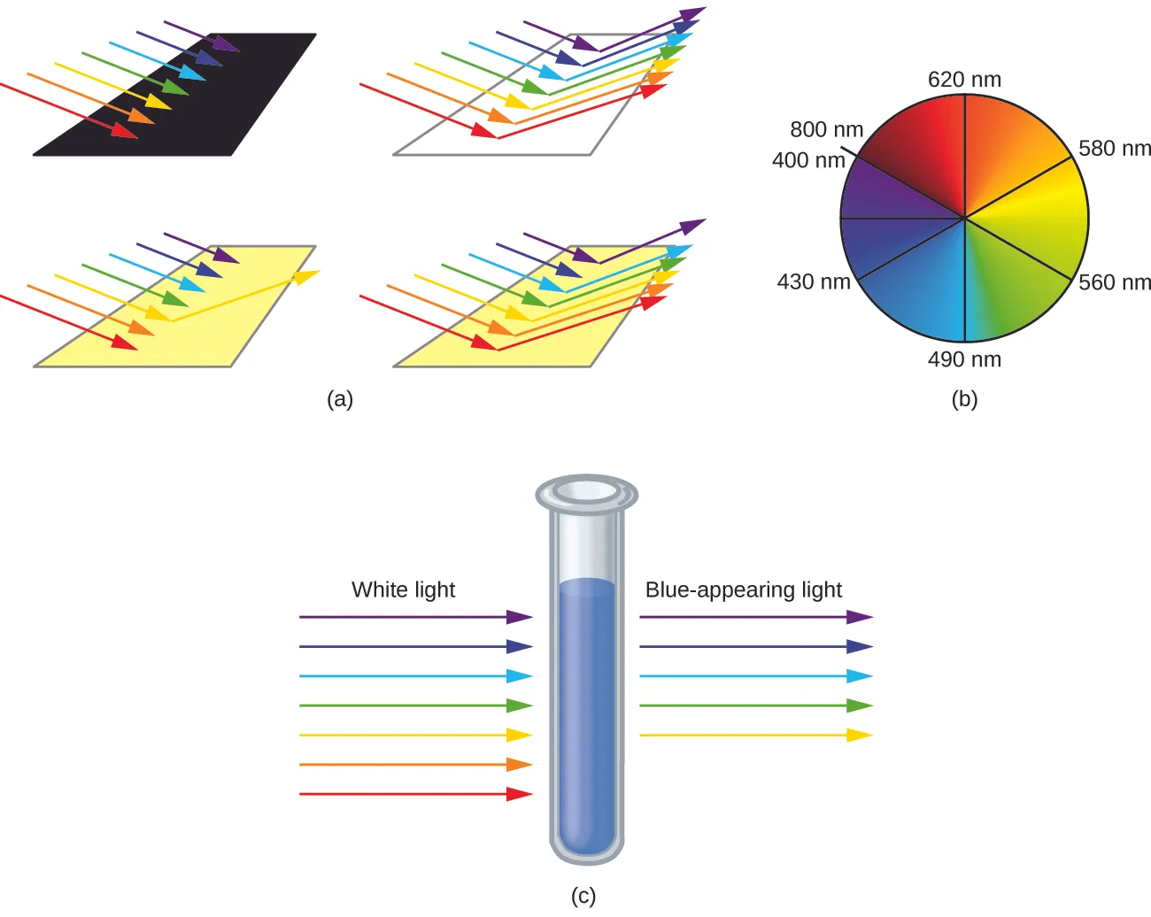 This figure includes three diagrams. In a, red, orange, yellow, green, blue, indigo, and violet incident arrows point from the upper left to the lower right toward one black, one white, and two yellow rectangular surfaces. No arrows are indicated leaving the black surface. On the white surface, arrows of all included colors extend from the surface of the rectangle extending from just right of the tips of the incident arrows that approach the rectangle to the upper right. For the first yellow surface, only a yellow arrow extends from a point just past the tip of the yellow incident arrow to the upper right. For the second yellow surface, all colors of arrows except indigo extend from points just past the tips of the incident arrows to the upper right. In b, a circle shaded in red at the upper left blends to orange, yellow, green, blue, indigo, and violet moving clockwise about the circle. The leftmost side of the red region has a radius that is labeled, “800 n m,” at the edge of the circle. A radius drawn to the top of the circle in the red-orange region is labeled, “620 n m.” A radius drawn to a point near the center of the first quadrant of the circle in the orange-yellow region is labeled, “580 n m.” A radius drawn to a point near the center of the second quadrant of the circle in the yellow-green region is labeled, “560 n m.” A radius drawn to the bottom of the circle in the blue region is labeled, “490 n m.” A radius drawn to a point near the center of the third quadrant of the circle in the indigo region is labeled, “430 n m.” An unlabeled radius is drawn to the leftmost point on the circle in the violet region. The violet region ends where the red region began on the circle. This radius is labeled, “400 n m,” just to the left and below the, “800 n m,” label associated with the red region. In c, a test tube containing a blue substance is shown. To the left of the test tube, incident colored arrows are shown pointing to the test tube. The colors of the arrows in order from bottom to top are red, orange, yellow, green, blue, indigo, and violet. Above these arrows is the label, “White light.” To the right of the test tube, yellow, green, blue, indigo, and violet arrows point right. These arrows are positioned at the same level on the test tube as their matching incident arrows on the left of the test tube. Above these arrows is the label, “Blue-appearing light.”