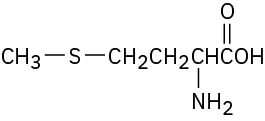 The chemical structure of the amino acid methionine.