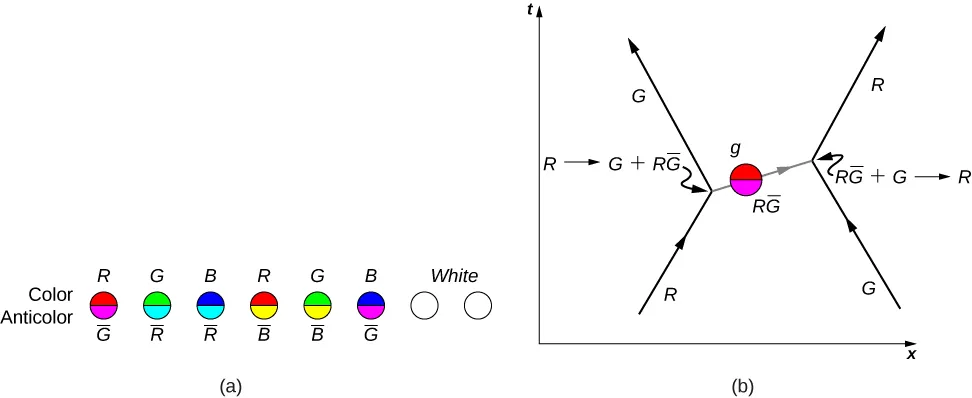 Figure a shows 8 circles in a row. The last two circles are white. The top and bottom halves of each of the first six circles are different in color. The top halves are labeled color and the bottom halves are labeled anticolor. The top and bottom halves of each circle from left to right are as follows: first: red labeled R and magenta labeled G bar, second: green labeled G and cyan labeled R bar, third: blue labeled B and cyan labeled R bar, fourth: red labeled R and yellow labeled B bar, fifth: green labeled G and yellow labeled B bar, sixth: blue labeled B and magenta labeled G bar. Figure b is a graph of t versus x. An arrow going up and right is labeled R. Its tip meets the base of arrow G, which points up and left. The junction is labeled from R to G plus R G bar. To the right of these is an arrow G pointing up and left. Its tip meets the base of arrow R. The junction is labeled from RG bar plus G to R. The two junctions are connected by an arrow pointing right. Along the arrow is a circle labeled RG bar.