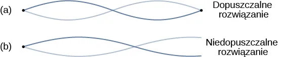 Rysunek a przedstawia strunę, której oba końce są unieruchomione. Dwie fale biegnące wzdłuż struny utworzyły węzły na każdym końcu struny oraz jeden węzeł w środku struny. Ta sytuacja opisana jest jako dopuszczalne rozwiązanie. Rysunek b pokazuje strunę zamocowana na obu końcach. Dwie fale na strunie tworzą węzeł na jednym końcu i strzałkę na drugim. Ta sytuacja jest opisana jako rozwiązanie niedopuszczalne.