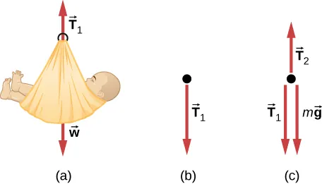Figure a shows a baby in a basket, with arrow T1 pointing up and arrow w pointing down. Figure b shows a free body diagram of arrow T1 pointing down. Figure c shows a free body diagram of T1 pointing down, T2 pointing up and mg pointing down.