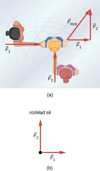 (a)Widok z góry na sytuację, w której dwie łyżwiarki pchają trzecią łyżwiarkę. Jedna z nich pcha z siłą F sub 1 poziomo w prawo, druga z siłą F sub 2 pionowo w górę. Wynikiem graficznego dodawania wektorów jest trójkąt, w którym przyprostokątnymi są siły F sub 1 i F sub 2, zaś siła F sub wyp będąca wynikiem dodawania tworzy przeciwprostokątną w tym trójkącie. (b) Rozkład sił działających na łyżwiarkę zawiera tylko siły F sub 1 i F sub 2.