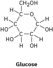 Chemical structure of a six-membered ring incorporating one oxygen. There are hydroxyl groups on four of the carbons and a hydroxymethyl group on the fifth.