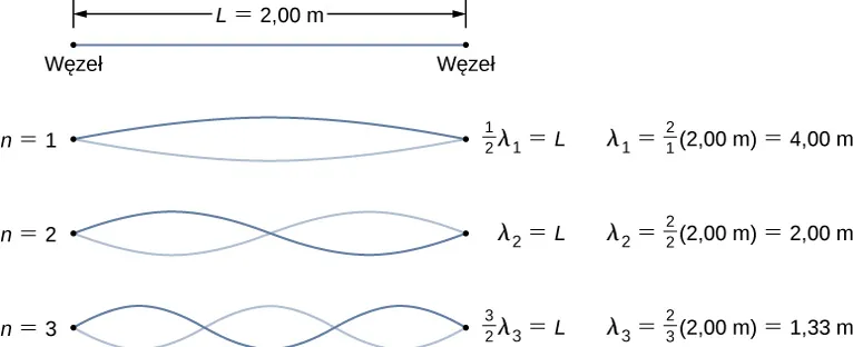 Pokazano trzy rysunki fal na strunie o długości L=2 m. Na każdym przedstawiono dwie fale. Pierwsza odpowiada pierwszemu modowi. Jest ona opisana jako połowa lambda 1 = L, lambda 1 = 2 dzielone przez 1 razy 2 m = 4 m. Drugi rysunek odpowiada modowi 2. Rysunek jest opisany jako 2 = L, lambda 2 = 2 dzielone przez 2 razy 2 m = 2 m. Trzeci rysunek odpowiada modowi 3. Rysunek opisany jest jako 3 dzielone przez 2 razy lambda 3 = L, lambda 3 = 2 dzielone przez 3 razy 2 m = 1,33 m.