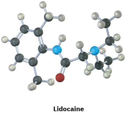 A ball and stick model of lidocaine that includes an amide group.