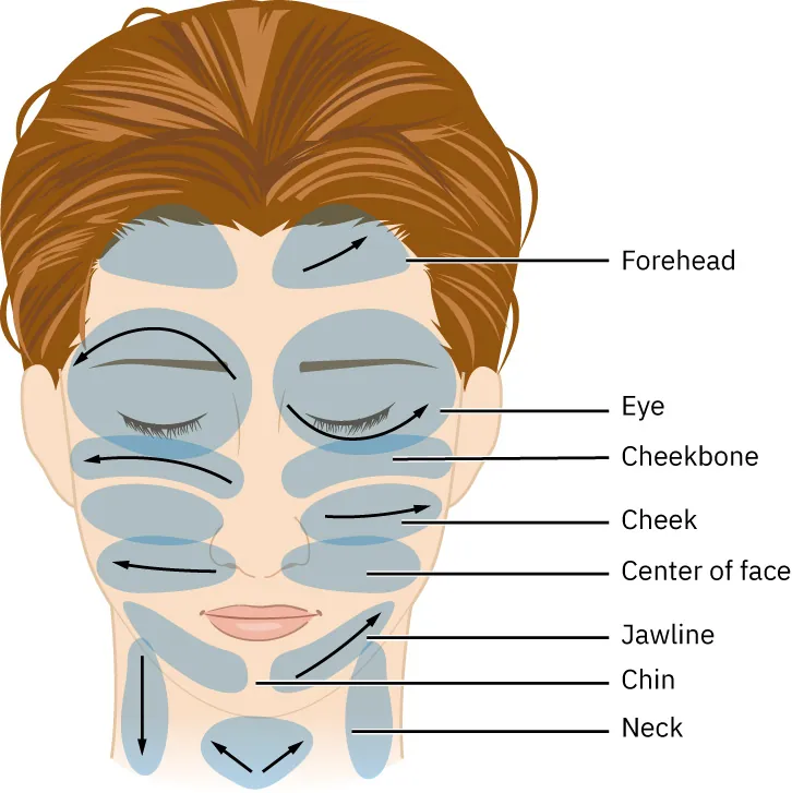 Illustration of facial and neck areas with arrows indicating proper massage or product application directions, covering forehead, eyes, cheeks, jawline, chin, and neck.