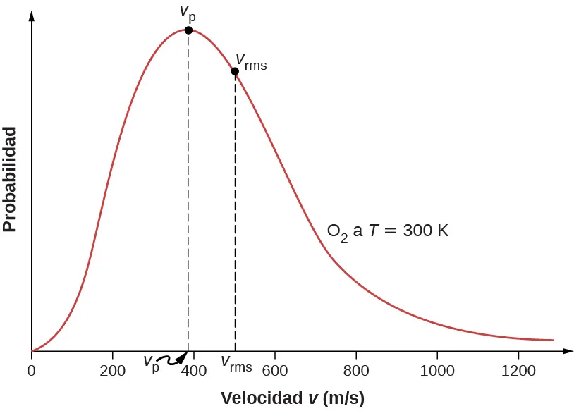 La figura es un gráfico de probabilidad versus velocidad v en metros por segundo del gas oxígeno a 300 kelvin. El gráfico tiene una probabilidad máxima a una velocidad V p de algo menos de 400 metros por segundo y una probabilidad media cuadrática a una velocidad v r m s de unos 500 metros por segundo. La probabilidad es cero en el origen y tiende a cero en el infinito. El gráfico no es simétrico, sino que es más pronunciado a la izquierda que a la derecha del pico.