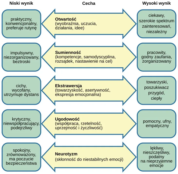 Niski wynik, praktyczny, konwencjonalny, preferuje rutynę- impulsywny, beztroski, niezorganizowany- cichy, wycofany, utrzymuje dystans - krytyczny, niewspółpracujący, podejrzliwy- spokojny, zrównoważony, ma poczucie bezpieczeństwa - Otwartość (wyobraźnia, uczucia, działania, idee) - Sumienność (kompetencje, samodyscyplina, rozsądek, nastawienie na cel) - Ekstrawersja (towarzyskość, asertywność, ekspresja emocjonalna) - Ugodowość (współpraca, rzetelność, uprzejmość i życzliwość) - Neurotyzm (skłonność do niestabilnych emocji) Wysoki wynik - ciekawy, szerokie spektrum zainteresowań, niezależny-  pracowity, godny zaufania, zorganizowany - towarzyski, ciepły, poszukiwacz przygód - pomocny, ufny, empatyczny - lękliwy, nieszczęśliwy, podatny na nieprzyjemne emocje