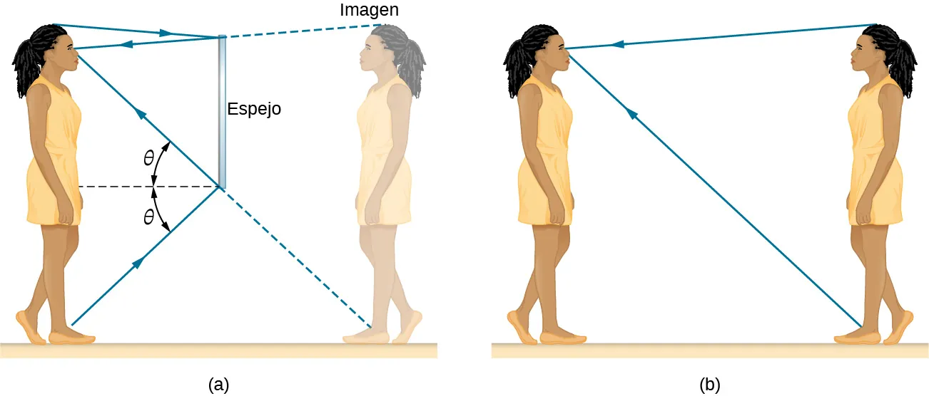 La figura a es un dibujo de una niña frente a un espejo que mira su imagen. El espejo mide aproximadamente la mitad de la altura de la niña, con la parte superior del espejo por encima de sus ojos pero por debajo de la parte superior de su cabeza. Los rayos de luz procedentes de sus pies llegan al fondo del espejo y se reflejan en sus ojos siguiendo la ley de reflexión: el ángulo de incidencia theta es igual al ángulo de reflexión theta. Los rayos de la parte superior de su cabeza llegan a la parte superior del espejo y se reflejan en los ojos. La figura b es un dibujo de la misma niña mirando a su gemela. La gemela está frente a ella y se encuentra en el mismo lugar, en relación con ella, que su imagen en la figura a. Los rayos procedentes de los pies y la cabeza de la gemela viajan directamente a los ojos de la niña, alcanzándolos en la misma dirección que los rayos reflejados en la figura a.