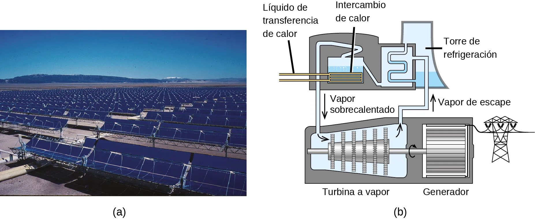 Esta figura tiene dos partes denominadas a y b. La parte a muestra filas y filas de espejos cilindro-parabólicos. La parte b muestra cómo funciona una planta termosolar. El fluido de transferencia de calor entra en un tanque a través de tuberías. El tanque contiene agua que se calienta. Al intercambiar el calor de las tuberías al agua, esta se convierte en vapor. El vapor viaja hasta una turbina de vapor. La turbina de vapor comienza a girar, lo que acciona un generador. El vapor de escape sale de la turbina de vapor y entra en una torre de refrigeración.