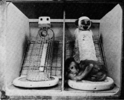 Photo of two surrogate monkeys – left side made of wires with square head; right side made of softer material with round, smiling head. Baby monkey visible cuddling with softer surrogate on right.