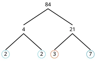 A prime factorization tree illustrating how the number 84 breaks down into its prime factors: 2, 2, 3, and 7.