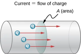 Left picture shows an image of the human spinal column taken using magnetic resonance imaging. Left picture is a photograph of the magnetic resonance imaging instrument.