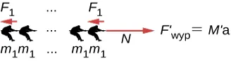 Rysunek pokazuje sytuację, w której każdy z zawodników o masie m1 ciągnie linę działając siłą F1 skierowaną w lewo. Siła naciągu została oznaczona jako N i skierowana jest w prawo. Siła wypadkowa F’ wynosi M’pomnożone przez a.