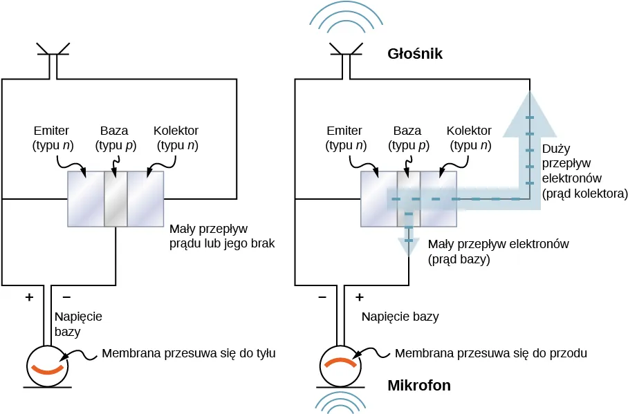 Rysunek a pokazuje trzy bloki w kontakcie. Od lewej do prawej opisane są one jako: emiter, typu n, baza, typu p i kolektor, typu n. Głośnik włączony jest pomiędzy kolektor i emiter. Mikrofon włączony jest pomiędzy emiter i bazę. Mikrofon opisany jest: membrana porusza się do tyłu. Napięcie między złączami mikrofonu opisane jest jako napięcie bazy. Jest ono ujemne przy bazie. Rysunek jest opisany jako: mały przepływ elektronów lub jego brak. Rysunek b jest podobny do a. Gruba strzałka zaczyna się od emitera, biegnie przez dwa pozostałe bloki, wychodzi z kolektora i biegnie wzdłuż obwodu głośnika. Strzałka ta jest opisana jako duży przepływ elektronów, prąd kolektora. Cienka strzałka biegnie od bazy do obwodu mikrofonu. Opisana jest jako mały przepływ elektronów, prąd bazy. Polaryzacja napięcia na złączach mikrofonu jest przeciwna niż na rysunku a. Mikrofon jest opisany: membrana przesuwa się do przodu. Pokazano, że głośnik wytwarza falę dźwiękową.