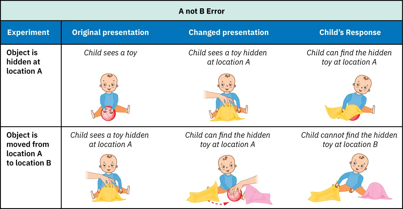 Chart displaying Piaget's A Not B Error Task outlining the object hidden in location A and then moved to location B and how child reacts to this change.