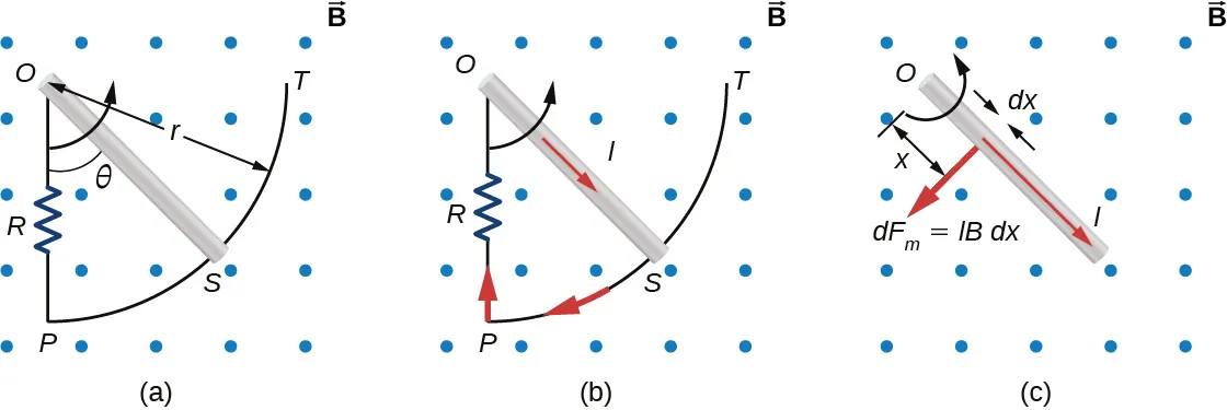 La figura A muestra el extremo de una varilla de metal que gira y se desliza a lo largo de un cable circular en un plano horizontal. El campo magnético uniforme es perpendicular a la varilla. La figura B visualiza la corriente inducida por la varilla. La figura C visualiza la fuerza magnética sobre un segmento de corriente infinitesimal.