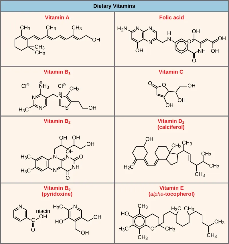 Shown are the molecular structures for Vitamin A, folic acid, Vitamin B1, Vitamin C, Vitamin B2, Vitamin D2, Vitamin B6, and Vitamin E.