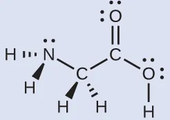 Una estructura de Lewis representa un átomo de nitrógeno con un par solitario de electrones unido con enlace simple a dos átomos de hidrógeno y a un átomo de carbono. Se dibujan los átomos descritos con enlaces que indican una forma tridimensional y tetraédrica alrededor del átomo de nitrógeno. El carbono está, a su vez, unido con enlace simple a dos átomos de hidrógeno y a otro átomo de carbono, y de nuevo, una configuración tetraédrica y tridimensional se indica por los tipos de enlaces. Este segundo átomo de carbono tiene un doble enlace con un átomo de oxígeno y un enlace simple con un oxígeno que tiene dos pares solitarios de electrones y un enlace simple con un átomo de hidrógeno.
