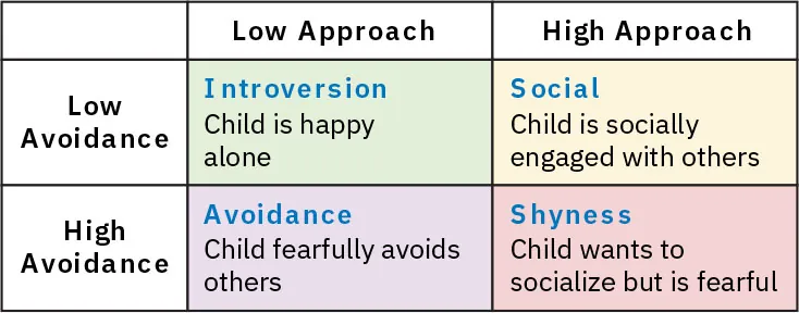 Approach/Avoidance Chart: Low Avoidance/Low Approach (Introversion -  Child happy alone), Low Avoidance/High Approach (Social - Child socially engaged with others), High Avoidance/Low Approach (Avoidance - Child fearfully avoids others), High Avoidance/High Approach (Shyness - Child wants to socialize but fearful).