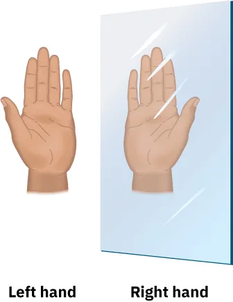 The figure shows a left hand and its reflection in a mirror on the right side, displaying a right hand.