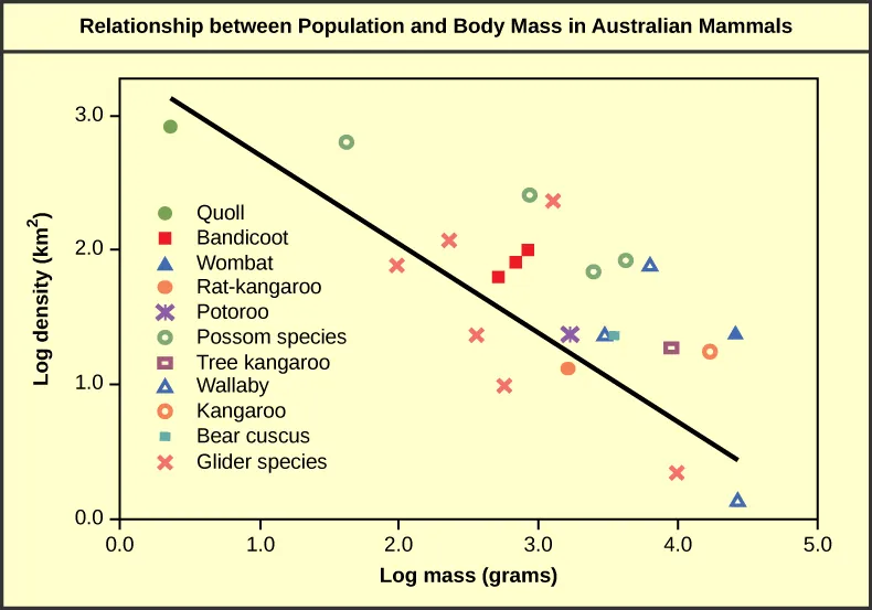 Graph plots log density in kilometers squared versus log body mass in grams. The values are inversely proportional, so that density decreases linearly with increasing body mass.