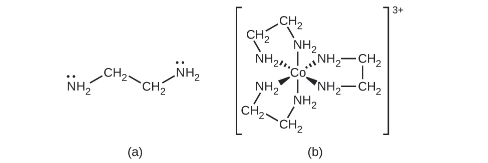 Se muestran dos estructuras. En a, aparece H subíndice 2 N en el extremo izquierdo de la estructura. Un segmento de línea se extiende hacia arriba y hacia la derecha desde el átomo de N hasta un átomo de C en un grupo de C H subíndice 2. Un segmento de línea se extiende hacia abajo y hacia la derecha hasta otro átomo de C en un grupo de C H subíndice 2. Un último segmento de línea se extiende desde este grupo C H subíndice 2 hacia arriba y hacia la derecha hasta el átomo N de un grupo N H subíndice 2. Cada átomo de N en la estructura tiene un par de puntos de electrones en su parte superior. En b, un átomo central de C o tiene seis grupos N H subíndice 2 unidos con enlaces simples. Estos enlaces se indican con segmentos de línea que se extienden por encima y por debajo, cuñas discontinuas que se extienden hacia arriba y hacia la izquierda y la derecha, y cuñas sólidas que se extienden por debajo y hacia la izquierda y la derecha. Los enlaces a estos grupos están todos dirigidos hacia los átomos de N. Los grupos N H subíndice 2 están cada uno conectados a átomos de C de grupos C H subíndice 2 que se extienden hacia fuera desde el átomo de C o central. Estos grupos C H subíndice 2 están conectados en pares con enlaces indicados por segmentos de línea, para formar 3 anillos en la estructura. Toda esta estructura se encuentra entre corchetes. Fuera de los corchetes, a la derecha, hay un superíndice 3 con el signo más.