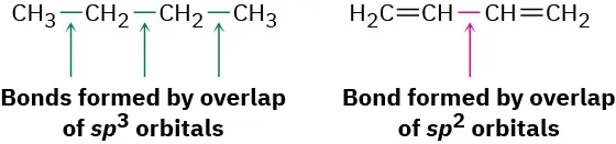 The structures of butane and 1,3-butadiene with single bonds formed by overlap of s p 3 orbitals and s p 2 orbitals, respectively.