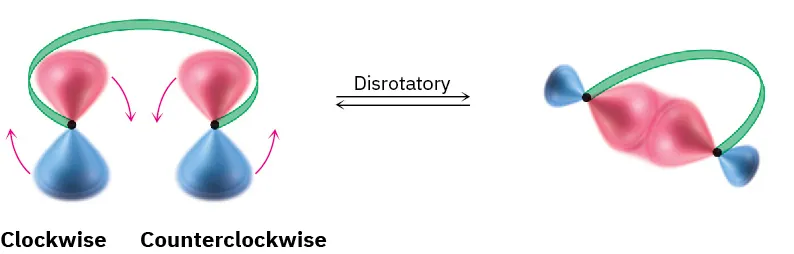 An orbital diagram with arrows to show disrotatory (clockwise and counterclockwise) movement of two p-orbitals with same-sign lobes pointed upward. This allows same-sign lobes to merge.