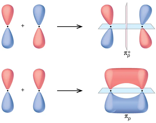 Se muestran dos filas horizontales de diagramas. Tanto el diagrama superior como el inferior comienzan con dos orbitales verticales en forma de maní con un signo positivo entre ellos seguido de una flecha hacia la derecha. El diagrama superior muestra los mismos orbitales de maní verticales doblados ligeramente entre sí y separados por una línea de puntos. Está marcado como "pi subíndice p superíndice asterisco". El diagrama inferior muestra la superposición horizontal de los dos orbitales y está marcado como "subíndice pi".
