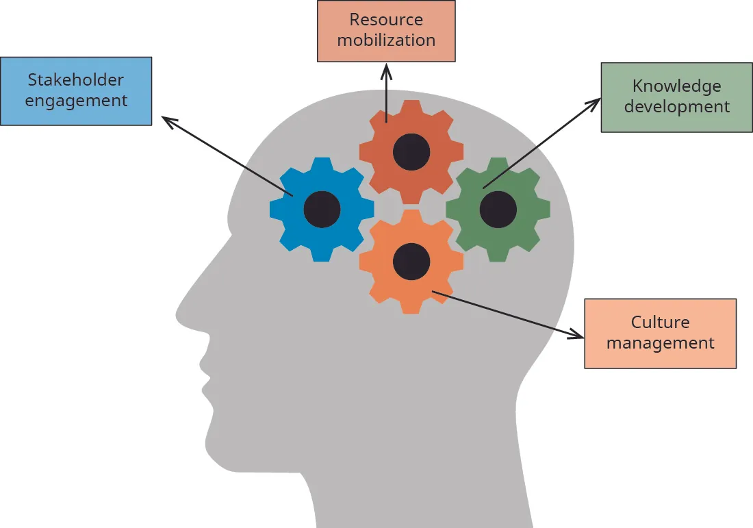 The Four Lenses Strategic Framework includes stakeholder engagement, culture management, resource mobilization/application, and knowledge development.