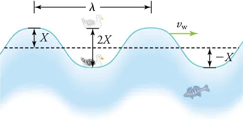 A seagull bobs up and down on a sinusoidal-shaped periodic ocean wave with a given wave velocity of νw. The wavelength λ is shown as the distance from one crest to the next crest. The amplitude X is shown as the distance between the resting position and the crest. The total distance traveled by the seagull in one cycle or period is shown as 2X.