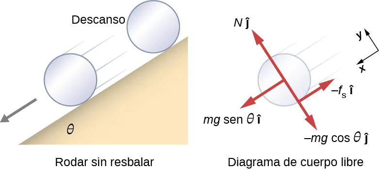 Diagrama de un cilindro que rueda hacia abajo sin deslizarse por un plano inclinado y diagrama de cuerpo libre del cilindro. A la izquierda hay una ilustración que muestra el plano inclinado, que forma un ángulo theta con la horizontal. El cilindro se muestra en reposo en la parte superior, y luego se mueve a lo largo de la inclinación cuando está más bajo. A la derecha hay un diagrama de cuerpo libre. El sistema de coordenadas x y está inclinado de manera que la dirección x positiva es paralela al plano inclinado y apunta hacia su parte inferior, y la dirección y positiva es hacia el exterior, perpendicular al plano. Se muestran cuatro fuerzas. N j hat actúa en el centro del cilindro y apunta en la dirección y positiva. m g seno theta i hat actúa en el centro del cilindro y apunta en la dirección x positiva. Menos m g coseno de theta por el vector j actúa en el centro del cilindro y apunta en la dirección de la y negativa. Menos f sub s por el vector i actúa en el punto de contacto y apunta en la dirección de la x negativa.
