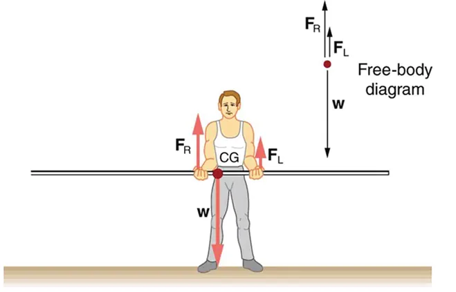 A pole vaulter is standing on the ground holding a pole with his two hands. The center of gravity of the pole is between the hands of the pole vaulter and is near the right hand of the man. The weight W is shown as an arrow downward toward center of gravity. The reactions F sub R and F sub L of the hands of the man are shown with vectors in upward direction. A free body diagram of the situation is shown on the top right side of the figure.