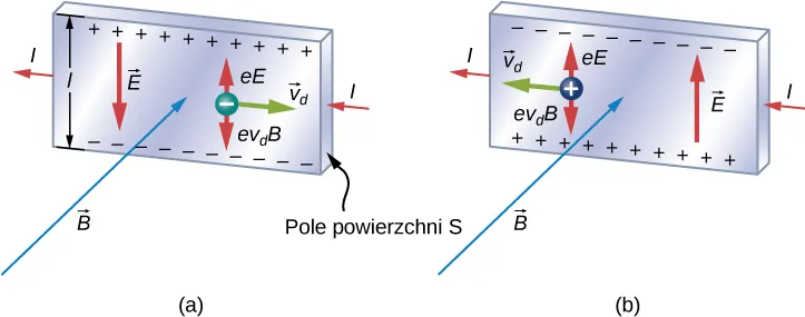 Ilustracja efektu Halla: w obydwu rysunkach prąd w taśmie jest z lewej a pole magnetyczne skierowane do wnętrza strony. Na rysunku a, ładunek ujemny porusza się na prawo z prędkością v ze znakiem d. Ładunki dodatnie gromadzą się na szczycie taśmy, ładunki ujemne na jej spodzie. Pole elektryczne E ze znakiem H skierowane jest w dół. Poruszający się ładunek doświadcza siły e E ze znakiem H skierowanej w górę i siły e v ze znakiem d B skierowanej w dół. Na rysunku b, ładunek dodatni porusza się w lewo z prędkością v ze znakiem d. Ładunki ujemne gromadzą się na górze taśmy, ładunki dodatnie u spodu. Pole elektryczne E ze znakiem H wskazuje do góry. Poruszający się ładunek doświadcza siły e E ze znakiem H skierowanej w górę i siły e v ze znakiem d B skierowanej w dół.