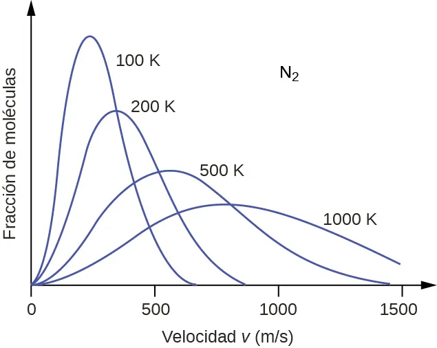 Se muestra un gráfico con cuatro curvas inclinadas hacia la derecha o positivas de diferentes alturas. El eje horizontal está marcado como "Velocidad u ( m dividido entre s )". Este eje está marcado por incrementos de 500 que comienzan en 0 y se extienden hasta 1500. El eje vertical está marcado como "Fracción de moléculas". La marca "N subíndice 2" aparece en el espacio abierto en la zona superior derecha del gráfico. La más alta y estrecha de estas curvas está marcada como "100 K". Su extremo derecho parece tocar el eje horizontal alrededor de 700 m por s. Le sigue una curva un poco más amplia que está marcada como "200 K", que es aproximadamente tres cuartos de la altura de la curva inicial. Su extremo derecho parece tocar el eje horizontal alrededor de 850 m por s. La tercera curva es significativamente más amplia y solo tiene la mitad de la altura de la curva inicial. Está marcado como "500 K". Su extremo derecho parece tocar el eje horizontal alrededor de 1450 m por s. La curva final es solo un tercio de la altura de la curva inicial. Es mucho más ancho que los demás, tanto que su extremo derecho no llega al eje horizontal. Esta curva está marcada como "1.000 K".