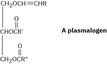 The structure of a plasmalogen lipid, contains a vinyl-ether and two fatty acids.