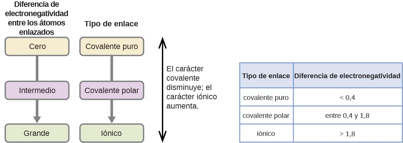 Se muestran dos diagramas de flujo y una tabla. El primer diagrama de flujo se etiqueta "Diferencia de electronegatividad entre los átomos de enlace". Debajo de esta etiqueta hay tres burbujas de texto redondeadas, conectadas por una flecha hacia abajo, etiquetadas como "Cero", "Intermedio" y "Grande", respectivamente. El segundo diagrama de flujo se etiqueta "Tipo de enlace". Debajo de esta etiqueta hay tres burbujas de texto redondeadas, conectadas por una flecha hacia abajo, etiquetadas como "Covalente puro", "Covalente polar" e "Iónico", respectivamente. Una flecha de doble punta está escrita verticalmente a la derecha de los diagramas de flujo y etiquetada como "El carácter covalente disminuye; el carácter iónico aumenta". La tabla se compone de dos columnas y cuatro filas. La línea de cabecera está etiquetada como "Tipo de enlace" y "Diferencia de electronegatividad". La columna de la izquierda contiene las frases "covalente puro", "covalente polar" e "iónico", mientras que la columna de la derecha contiene los valores "menos de 0,4", "entre 0,4 y 1,8" y "más de 1,8".