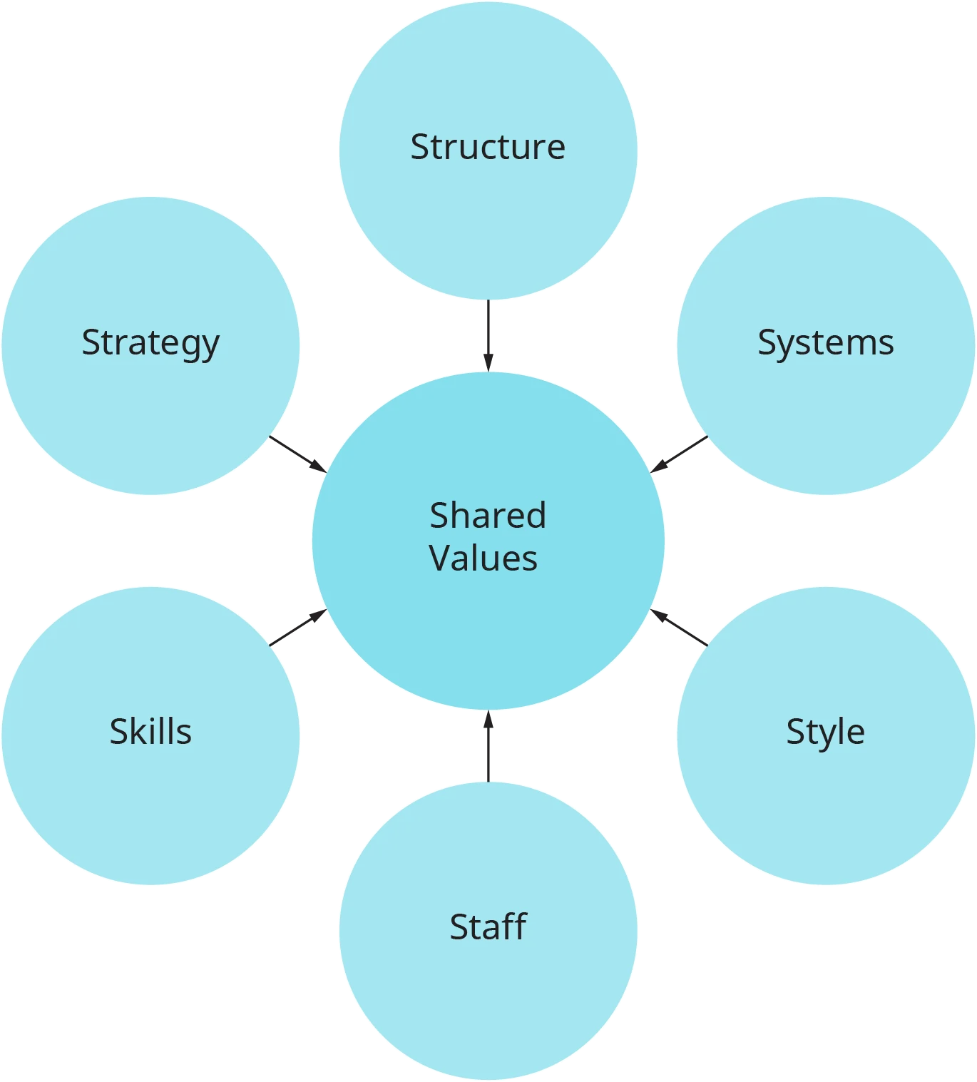 A diagram shows a circular representation of the McKinsey 7 S model.