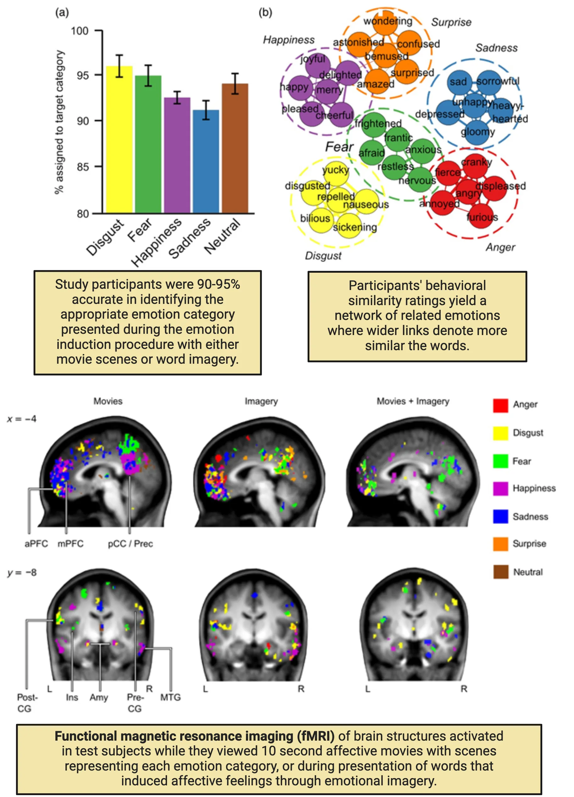 Top left: Bar graph showing % assigned to target category across 5 different core emotions. Top right: Words arranged and color coded by categories of emotion they are associated with. Bottom:  fMRI activations superimposed on sagittal human brain MRI scans.