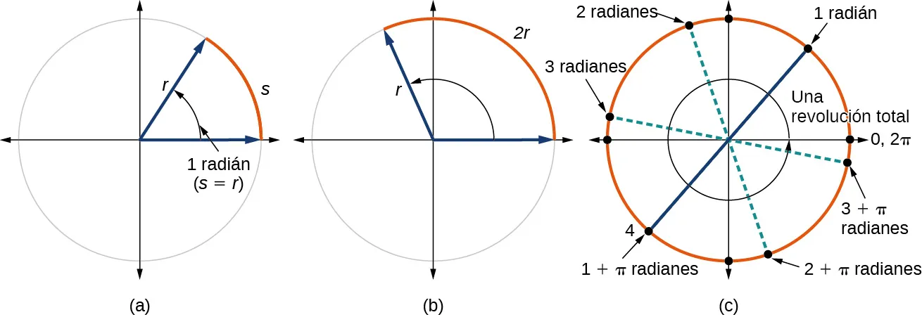 Tres gráficos de círculos uno al lado del otro. El primer gráfico tiene un círculo de radio r y un arco s, con equivalencia entre r y s. El segundo gráfico muestra un círculo de radio r y un arco de longitud 2r. El tercer gráfico muestra un círculo con una revolución completa y 6,28 radianes.