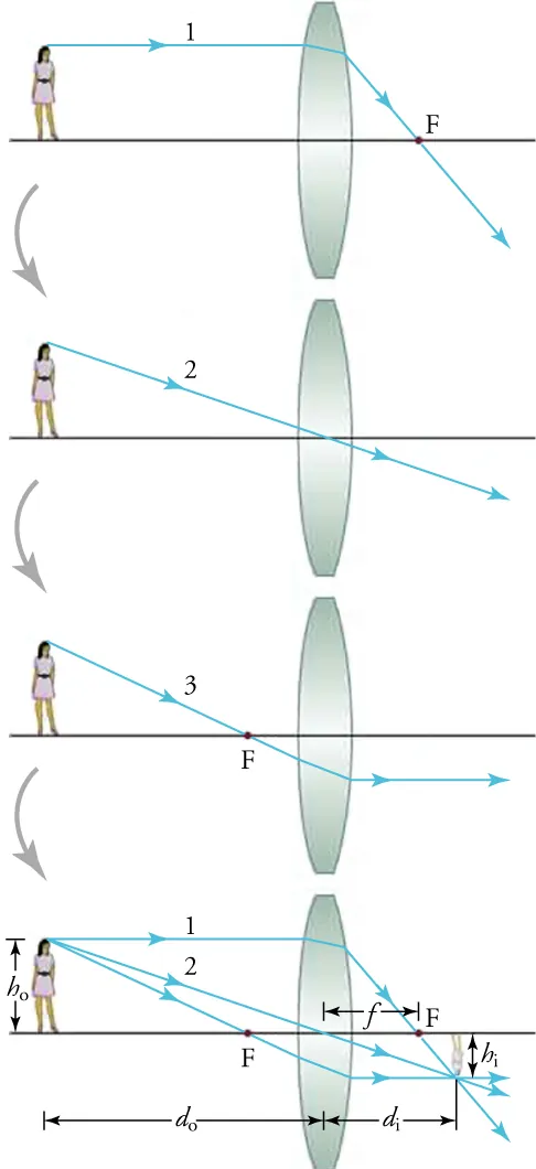 This series of drawings shows a woman standing to the left of a lens. Rays originate from the top of her head and pass through the lens at various angles to create a real image on the other side of the lens.