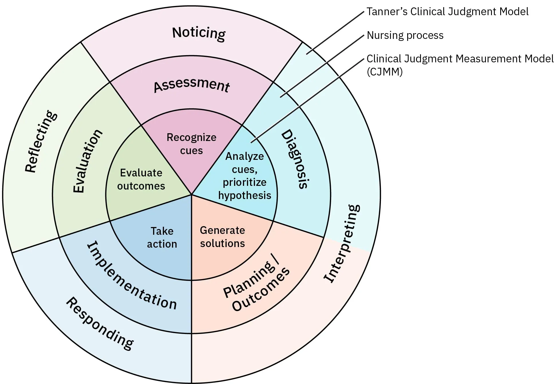 Integration of Clinical Judgment Model and Nursing Process Model together showing how they work alongside each other.
