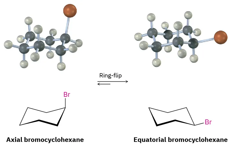 The chair conformation and ball and stick model of axial bromocyclohexane undergo ring-flip to form conformation and model of equatorial bromocyclohexane.