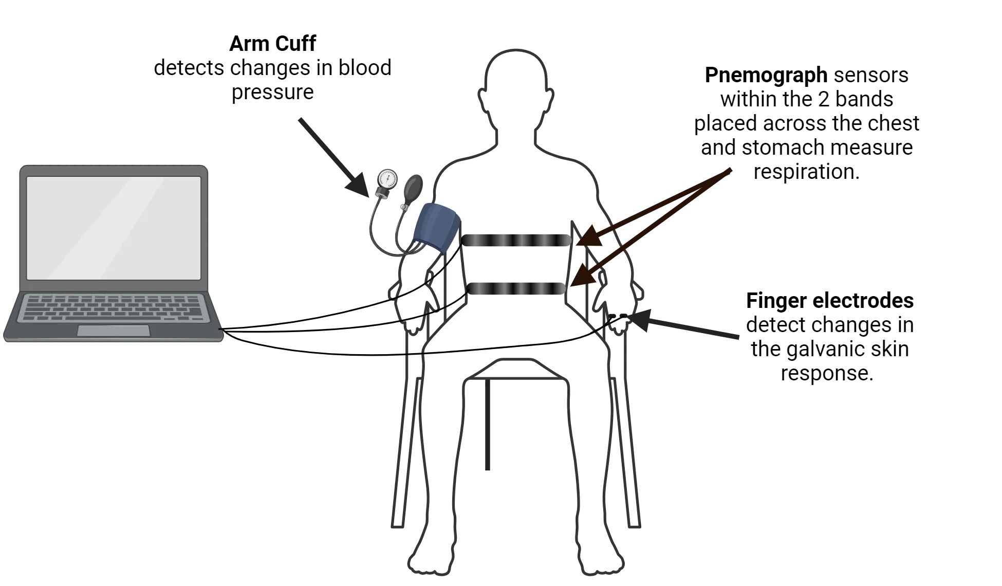 Photo of a person attached to a polygraph machine, with a computer monitoring them. Arm cuff, finger electrodes, wrist electrode and pnemograph are highlighted.